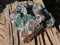 Natural Drusy Quartz Coated Ball Malachite On Red Copper Dolomite Specimen x 1 From Congo - Toprock Gemstones and Minerals 