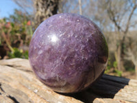 Polished Purple Lepidolite Spheres  x 4 From Madagascar