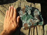 Natural Drusy Quartz Coated Ball Malachite On Red Copper Dolomite Specimen x 1 From Congo - Toprock Gemstones and Minerals 