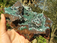 Natural Drusy Quartz Coated Ball Malachite On Red Copper Dolomite Specimen x 1 From Congo - Toprock Gemstones and Minerals 