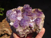 Natural Stone Sealed Amethyst Clusters x 5 From Zambia