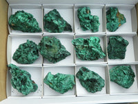 Natural Chatoyant Silky Malachite Specimens  x 12 From Kasompe, Congo - Toprock Gemstones and Minerals 