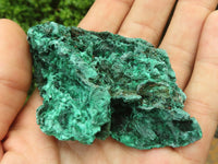 Natural Chatoyant Silky Malachite Specimens  x 12 From Kasompe, Congo - Toprock Gemstones and Minerals 