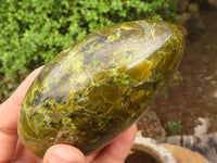 Polished Green Opal Standing Free Forms  x 4 From Antsirabe, Madagascar - Toprock Gemstones and Minerals 