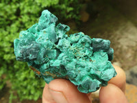 Natural Chatoyant Silky Malachite Specimens  x 12 From Kasompe, Congo - Toprock Gemstones and Minerals 