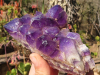 Natural Stone Sealed Amethyst Clusters x 5 From Zambia