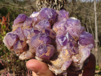 Natural Stone Sealed Amethyst Clusters x 5 From Zambia