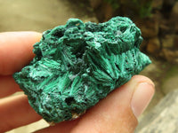 Natural Chatoyant Silky Malachite Specimens  x 12 From Kasompe, Congo - Toprock Gemstones and Minerals 