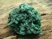 Natural Chatoyant Silky Malachite Specimens  x 12 From Kasompe, Congo - Toprock Gemstones and Minerals 