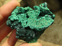 Natural Chatoyant Silky Malachite Specimens  x 12 From Kasompe, Congo - Toprock Gemstones and Minerals 