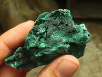 Natural Chatoyant Silky Malachite Specimens  x 12 From Kasompe, Congo - Toprock Gemstones and Minerals 