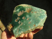 Polished One Side Polished Emerald Mtorolite Plates  x 3 From Mutorashanga, Zimbabwe