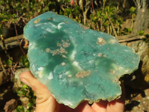 Polished One Side Polished Emerald Mtorolite Plates  x 3 From Mutorashanga, Zimbabwe