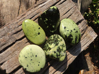 Polished  Leopard Stone Free Forms  x 5 From Zimbabwe