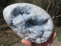 Polished Blue Celestite Crystalline Geode Egg  x 1 From Sakoany, Madagascar - TopRock