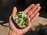 Polished  Leopard Stone Free Forms  x 5 From Zimbabwe