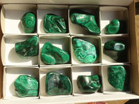 Polished Flower Banded Malachite Free Forms  x 12 From Congo - Toprock Gemstones and Minerals 