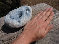 Polished Blue Celestite Crystalline Geode Egg  x 1 From Sakoany, Madagascar - TopRock