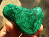 Polished Flower Banded Malachite Free Forms  x 12 From Congo - Toprock Gemstones and Minerals 