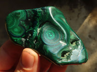 Polished Flower Banded Malachite Free Forms  x 12 From Congo - Toprock Gemstones and Minerals 