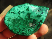 Polished Flower Banded Malachite Free Forms  x 12 From Congo - Toprock Gemstones and Minerals 