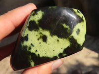 Polished  Leopard Stone Free Forms  x 5 From Zimbabwe