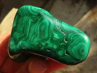 Polished Flower Banded Malachite Free Forms  x 12 From Congo - Toprock Gemstones and Minerals 