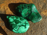 Polished Flower Banded Malachite Free Forms  x 12 From Congo - Toprock Gemstones and Minerals 