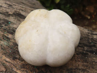 Polished White Marble Pumpkin Carvings  x 5 From Zimbabwe - Toprock Gemstones and Minerals 