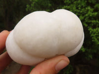 Polished White Marble Pumpkin Carvings  x 5 From Zimbabwe - Toprock Gemstones and Minerals 