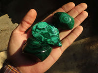 Polished Flower Banded Malachite Free Forms  x 12 From Congo - Toprock Gemstones and Minerals 