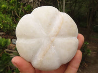 Polished White Marble Pumpkin Carvings  x 5 From Zimbabwe - Toprock Gemstones and Minerals 