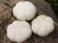 Polished White Marble Pumpkin Carvings  x 5 From Zimbabwe - Toprock Gemstones and Minerals 