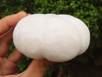 Polished White Marble Pumpkin Carvings  x 5 From Zimbabwe - Toprock Gemstones and Minerals 