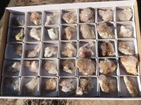 Natural Small Spirit Quartz Clusters  x 35 From Boekenhouthoek, South Africa - TopRock