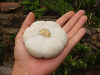 Polished White Marble Pumpkin Carvings  x 5 From Zimbabwe - Toprock Gemstones and Minerals 