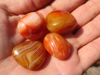 Polished  Carnelian Agate Tumble Stones  x 1 Kg Lot From Madagascar