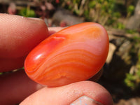 Polished  Carnelian Agate Tumble Stones  x 1 Kg Lot From Madagascar