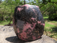 Polished One Side Polished Pink & Black Rhodonite Free Forms  x 6 From Madagascar - TopRock