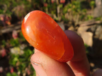 Polished  Carnelian Agate Tumble Stones  x 1 Kg Lot From Madagascar