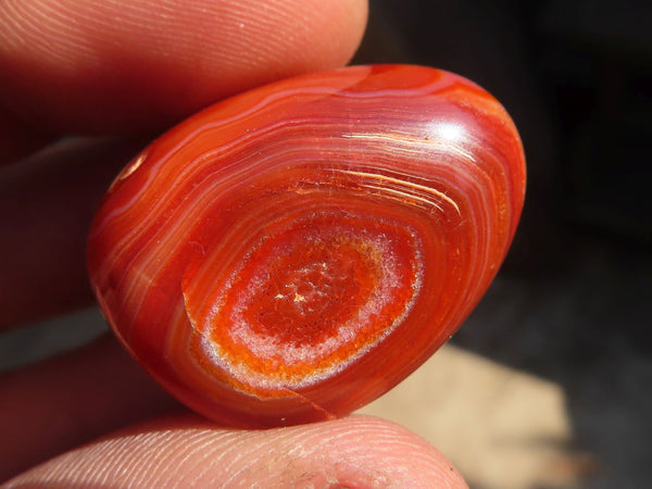 Polished  Carnelian Agate Tumble Stones  x 1 Kg Lot From Madagascar