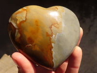 Polished Polychrome / Picasso Jasper Hearts  x 6 From Madagascar - Toprock Gemstones and Minerals 