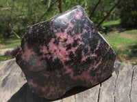 Polished One Side Polished Pink & Black Rhodonite Free Forms  x 6 From Madagascar - TopRock