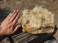 Natural Extra Large Clear Quartz Cluster With Limonite Colouring  x 1 From Madagascar - TopRock