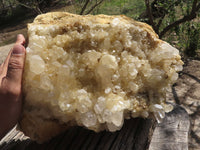 Natural Extra Large Clear Quartz Cluster With Limonite Colouring  x 1 From Madagascar - TopRock