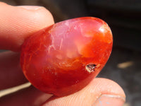 Polished  Carnelian Agate Tumble Stones  x 1 Kg Lot From Madagascar