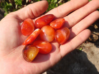 Polished  Carnelian Agate Tumble Stones  x 1 Kg Lot From Madagascar