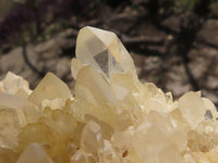 Natural Extra Large Clear Quartz Cluster With Limonite Colouring  x 1 From Madagascar - TopRock