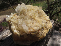 Natural Extra Large Clear Quartz Cluster With Limonite Colouring  x 1 From Madagascar - TopRock