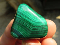 Polished  Small Malachite Free Forms x 20 From Congo